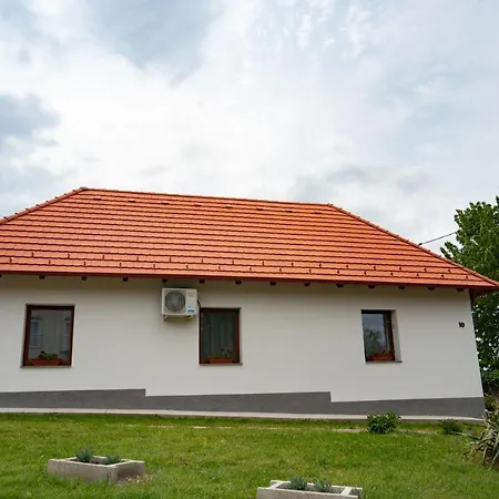 House Nr. 10 *